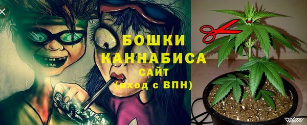 mix Вяземский